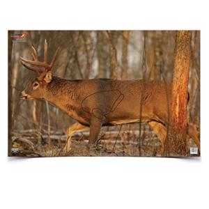 Birchwood Casey EZE-Scorer Deer Target 23x35