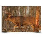 Birchwood Casey EZE-Scorer Deer Target 23x35