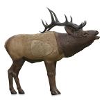 Rinehart Signature Series 1/3 Scale Elk Target