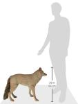 Flambeau Lone Howler Coyote Decoy - One Size