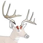 Delta McKenzie Baby Daddy 3D Deer Target