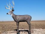 Delta McKenzie Mule Deer 3D Archery Target