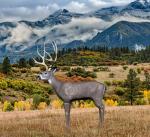 Delta McKenzie Mule Deer 3D Archery Target