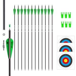 31-Inch Carbon Arrows for Target Practice (12 Pack)