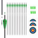 31-Inch Carbon Arrows for Target Practice (12 Pack)