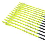 Pointdo 30" Fluorescent Carbon Practice Arrows