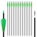 NorthSpoor 14 Pack Carbon Arrows for Recurve Bows