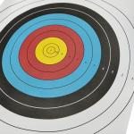 40cm Paper Archery Targets for Backyard Practice