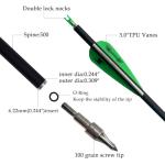 31-Inch Carbon Arrows for Target Practice (12 Pack)