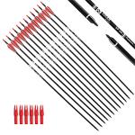 30-Inch Carbon Practice Arrows for Bows - 12 Pack