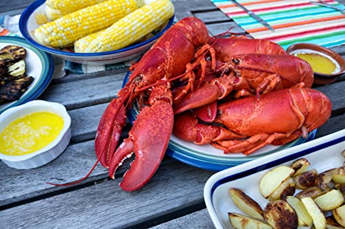 Fresh Cooked Maine Lobster | 9 Pieces | Seafood