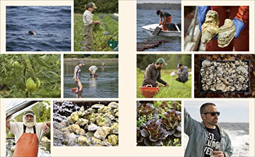 Modern Maine Seafood Recipes: Clambakes and Lobster Rolls
