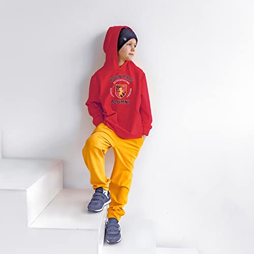 Gryffindor Red Alumni Hoodies - Harry Potter Collection