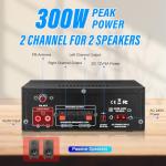 Daakro AK45 Wireless Bluetooth 2-Channel Audio Amplifier