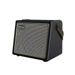 Portable 30W Acoustic Guitar Bluetooth Amplifier