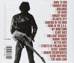 Bruce Springsteen - Best of Hits Album