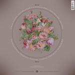 Long Time Coming Vinyl Album