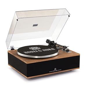 Angels Horn Bluetooth Turntable with Built-in Speakers