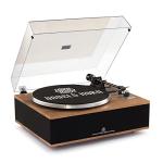 Angels Horn Bluetooth Turntable with Built-in Speakers