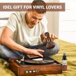 5-in-1 Vinyl Record Cleaning Kit with Accessories