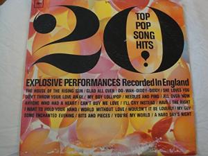 20 Epic Pop Hits Vinyl LP Club Edition