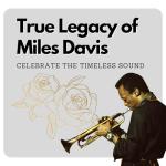 Miles Davis Ultimate Albums 3LP Bundle