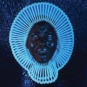 Awaken My Love Vinyl Record