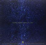 Awaken My Love Vinyl Record