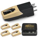 JoTownCand 5PCS Ruby Record Player Needle Kit