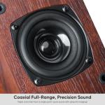 Saiyin Bluetooth Speakers for Vinyl Record Player