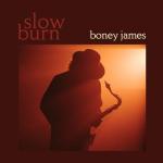 Slow Burn[LP]