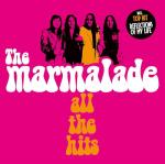 All The Hits [Vinyl LP]