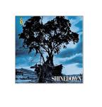 Shinedown Limited Edition Collectible Box Set Pressed on Exclusive Gold Vinyl