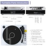 LP&No.1 Record Player with Built-in Stereo Speakers, LED Control, 3-Speed Belt-Drive Vinyl Turntable with USB Playback & Recording, Wireless BT Input & Output, Auto Stop, Pitch Control | White Pearl