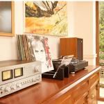 KAIU Solid Wood Vinyl Record Storage Display Unit