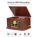 FEKTIK Bluetooth 10-in-1 Vinyl Record Player