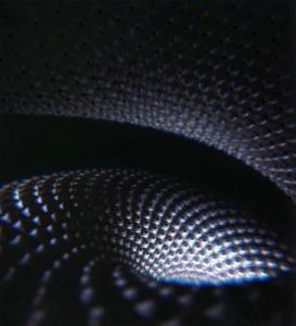 Fear Inoculum Vinyl Record