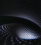 Fear Inoculum Vinyl Record