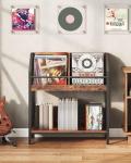 CHOEZON 2-Tier Vinyl Record Storage Rack, Rustic Finish