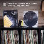 Big Fudge Vinyl Record Cleaning Kit Essentials