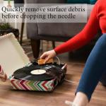 Vinyl Record Cleaning Kit with Brush and Cleaner