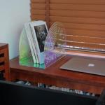 Acrylic Prism Vinyl Record Storage Stand
