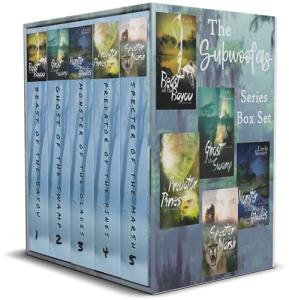 Subwoofers Sound System Bundle