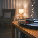 Universal Record Player Needles with Cleaning Brush