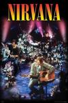 Nirvana Unplugged 24 x 36 Art Poster