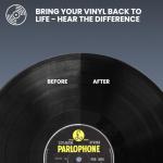 Big Fudge 4-in-1 Vinyl Record Cleaning Kit