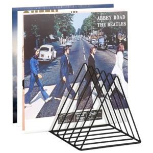 Udreamer 9 Slot Vinyl Record Storage Holder