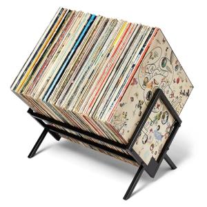 Stylish Vinyl Record Storage Rack for 100 LPs