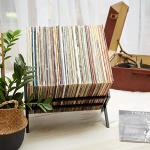 Stylish Vinyl Record Storage Rack for 100 LPs