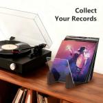 KAIU Vinyl Record Storage Holder for 30 Albums